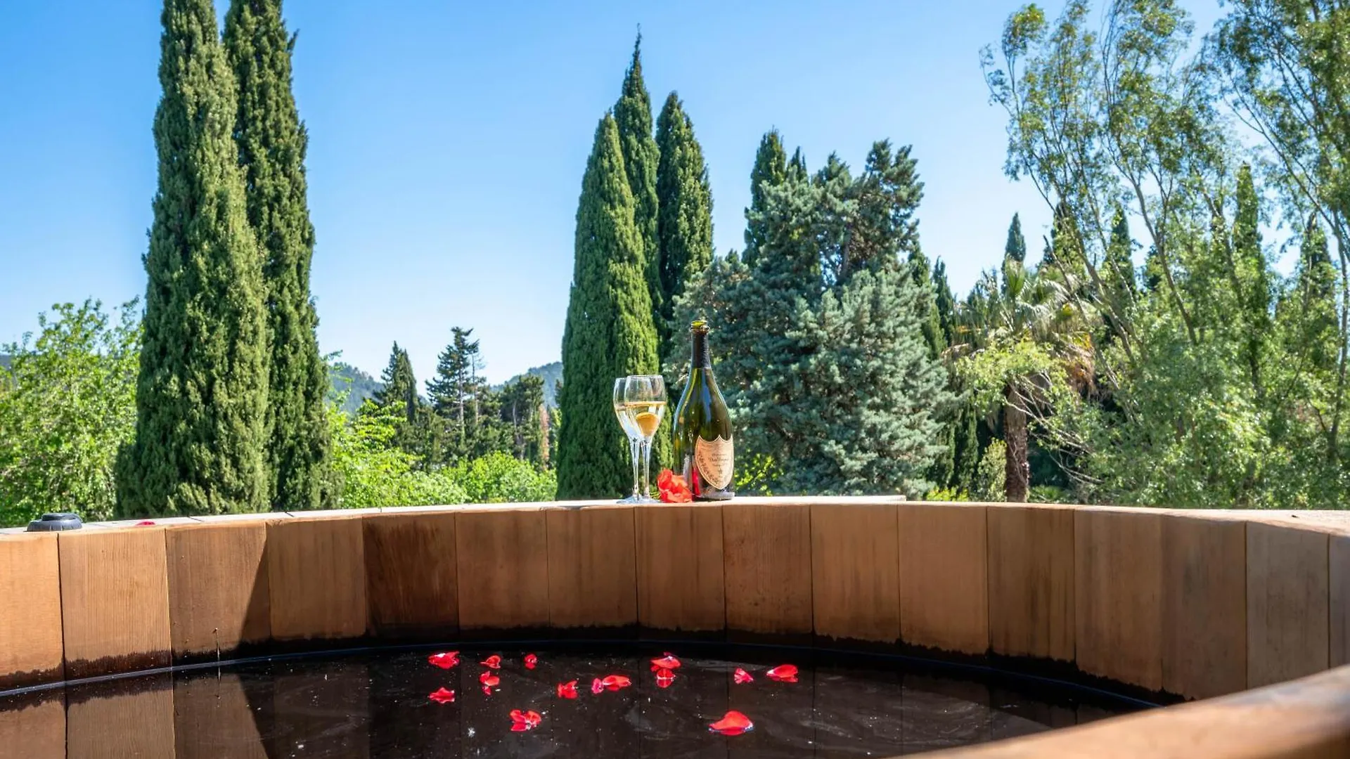 Luxueux Domaine Au Coeur Des Alpilles Villa Fontvieille